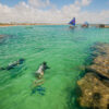 porto de galinhas praia