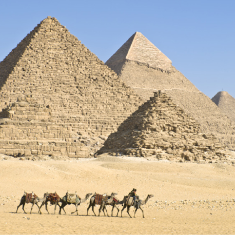 paseo en camello piramides Giza