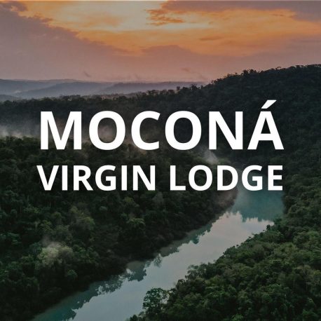 Mocona Virgin Lodge 2024